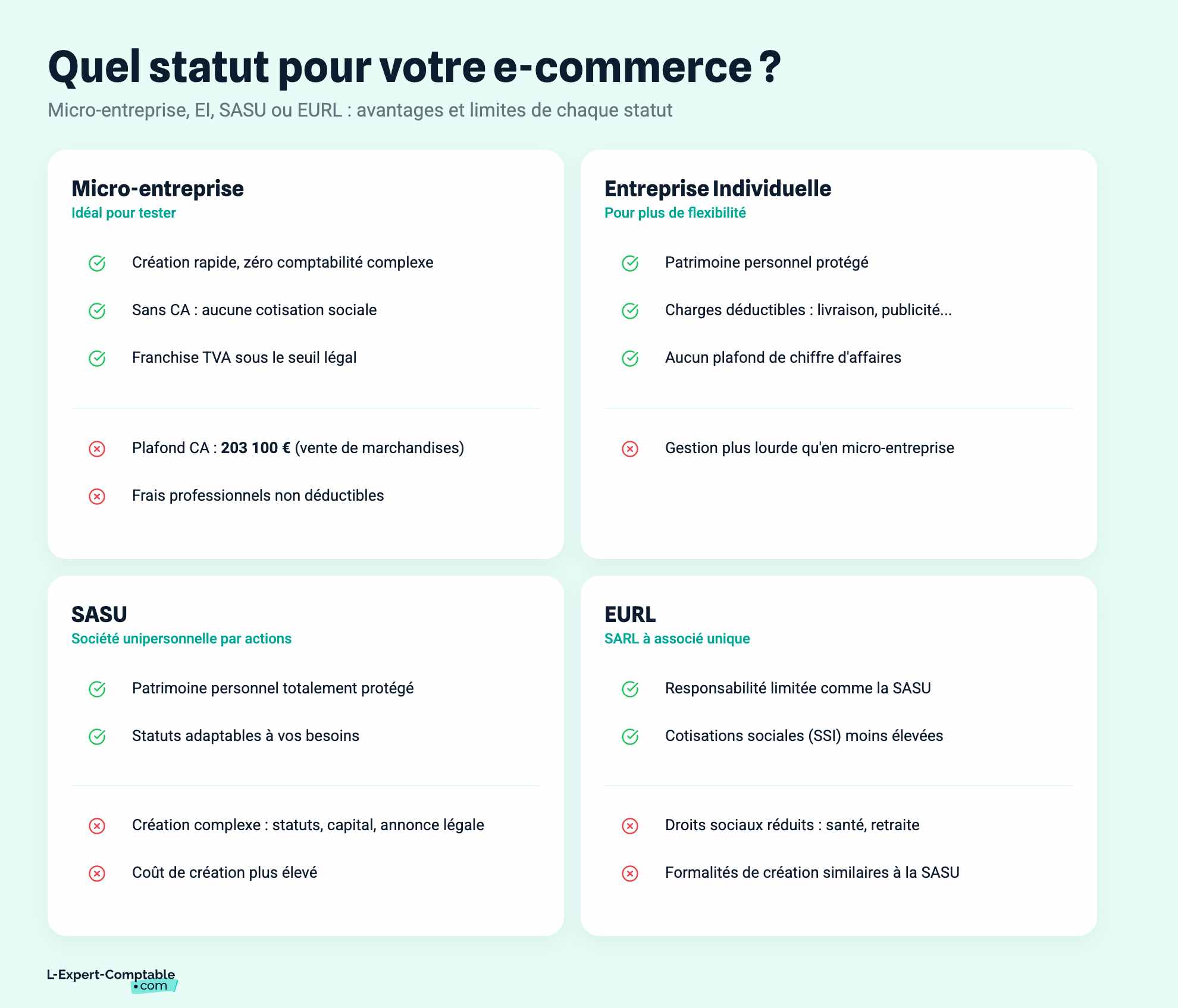 Quel statut pour votre e-commerce ?